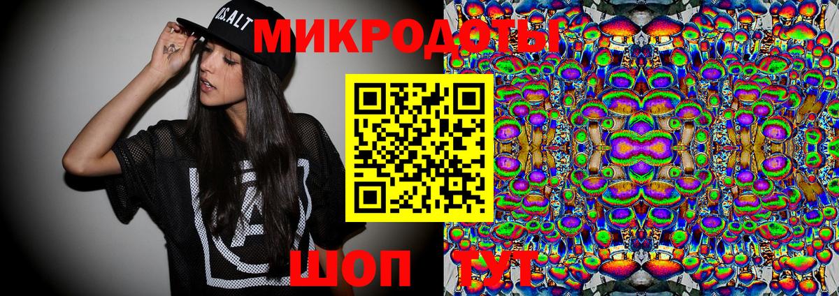 Галлюциногенные грибы Psilocybe Бирск