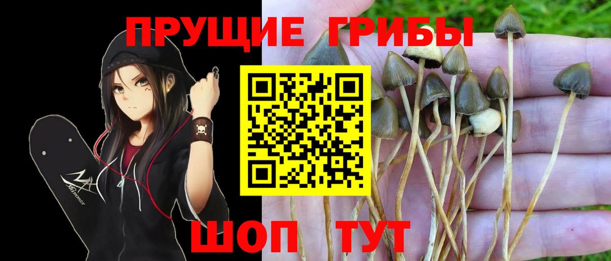 Бирск  купить наркотики цена  Галлюциногенные грибы прущие грибы  Вход с VPN  Псилоцибиновые грибы Cubensis 
